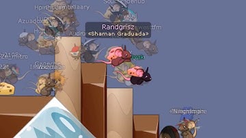 Transformice --  Randgrisz & N0vak