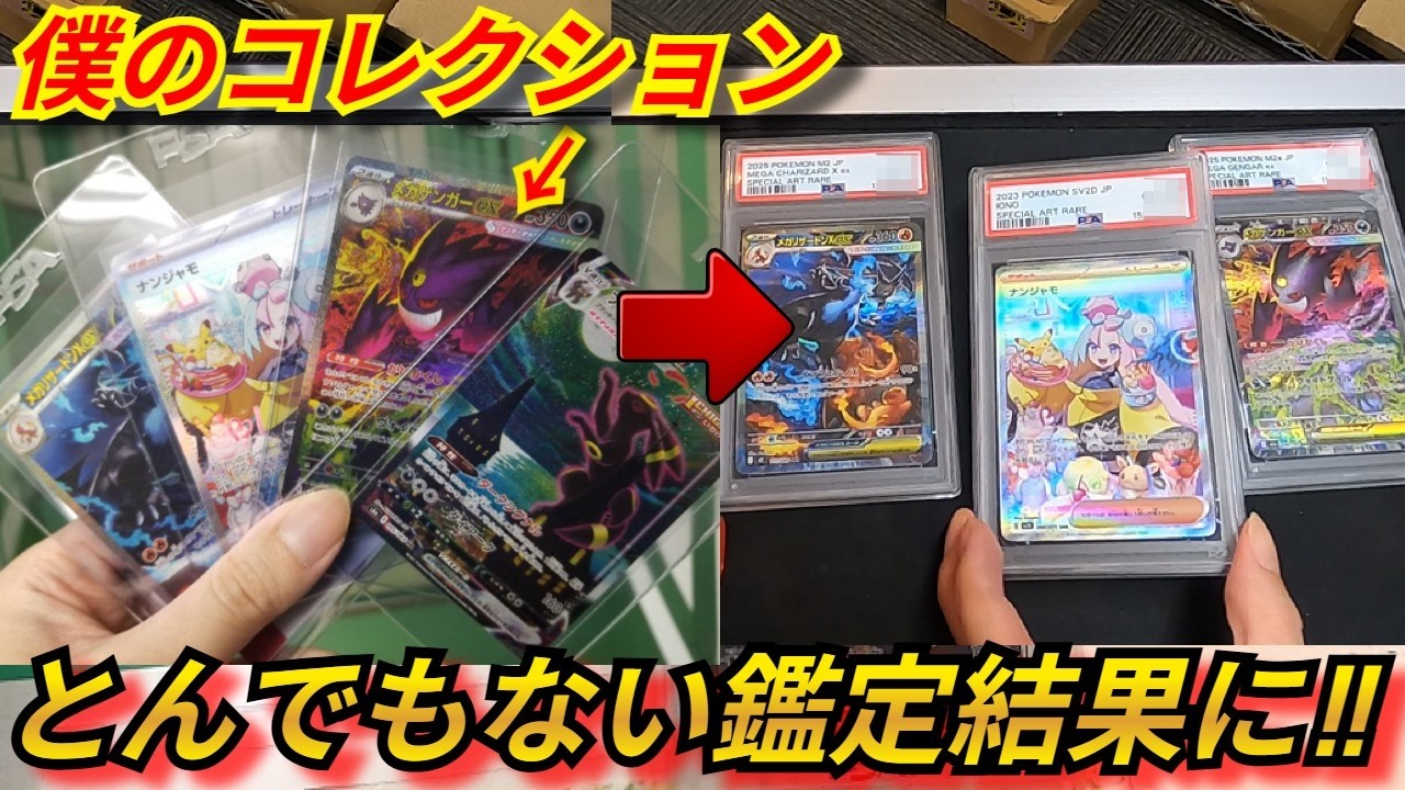 Pokémon Cards] I sent my high-value collection for PSA grading and