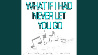 What If I Had Never Let You Go (Instrumental Version)