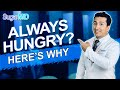 Top 8 Reasons You are Always Hungry & How to STOP Hunger! Sugar MD