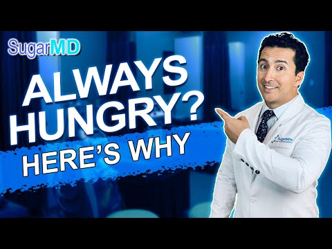 Top 8 Reasons You Are Always Hungry x How To Stop Hunger! Sugar Md