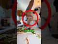 This Is Why You Shouldn’t Own a Pet Cow 😭🐄 #viral #funnyanimals