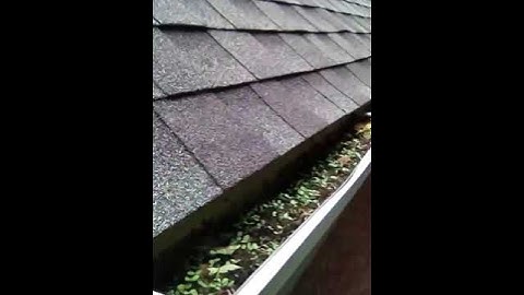 LeafFilter Gutter Inspection | LeafFilter
