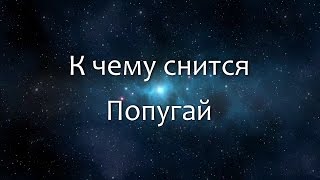 К чему снится Попугай (Сонник, Толкование снов)