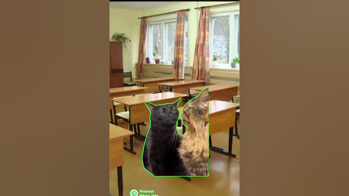 Пов:тот самый хулиган #мемныекоты #пов #rofl #рекомендации #простите