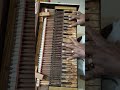 100 years old ram flute brothers company aligharh harmonium playing by govindarajulu vanarasa