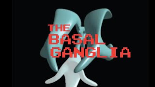 Neuroanatomy: The Basal Ganglia