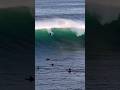 FIRING SHARK ISLAND💥 Shaun Petersen 🚁 #surf