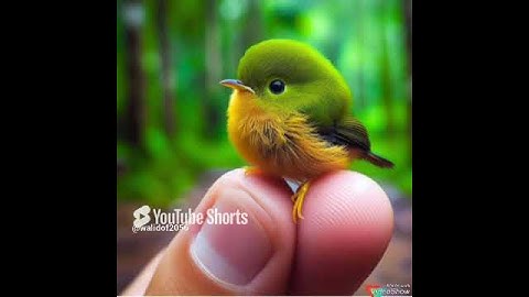 تلاوة رائعة جدا جدا بصوت الشيخ ياسر الدوسري #القران #يارب #اكسبلور #duet #الصلاه #دويتو #تيك_توك