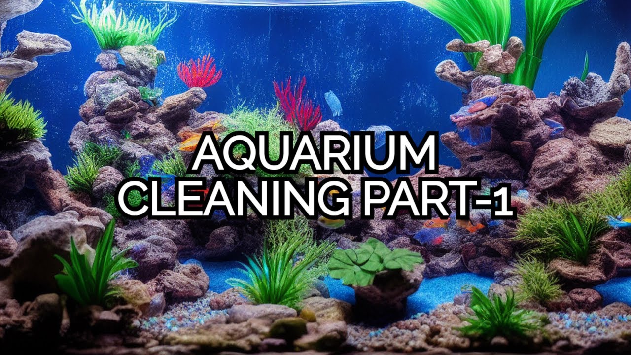 Master the Art of Aquarium Cleaning with Python PART 1 - YouTube