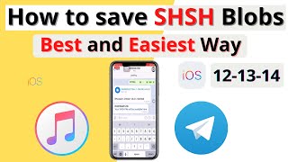 How to save SHSH Blobs ios 14