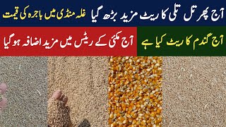 Today corn till wheat bajra price in Pakistan|Makki gandam till tili bajra price today Punjab