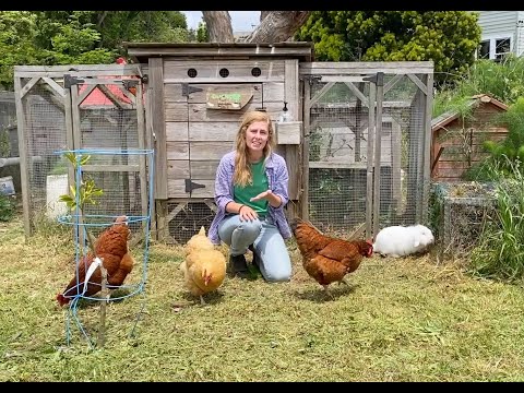 Golden Bridges School Farm Tour