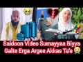 Saidoon Rifatee Haala Inni Keessa Jiru Hiriyaan Sumayyaa Sodaatte Badde Saidoon Rifatee Haala Inni Keessa Jiru Hiriyaan Sumayyaa Sodaatte Badde