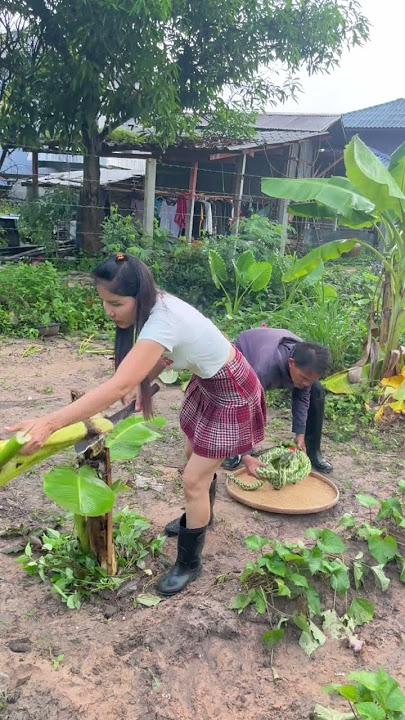 ขดเต็มกระด้ง #funny #คลายเครียด #comedy