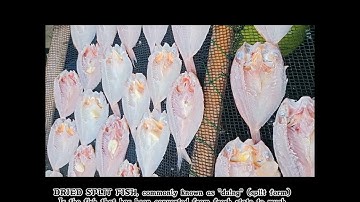 GRAPHICS & VISUAL COMPUTING FINAL PROJECT 🤗💙!!