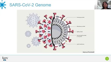 Overview of IGeneX COVID-19 PCR and Antibody testing