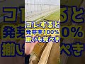 【誰でも簡単！】種まき時にコレするだけで発芽率がほぼ100%向上します。
