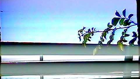 Desolee - Cruel Task of Completion - OFFICIAL VIDEO