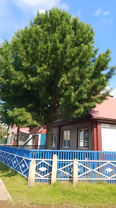 🏡 Дом на горе,дом на горе.Окна-свет на заре.В небо посмотришь- даль ...
