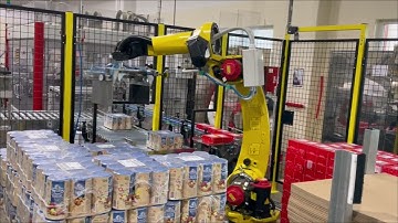 Robotic Palletiser for Simultaneous Palletising of Cans and Boxes