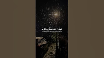عندما يبدع الشيخ ياسر الدوسري بتلاوة خاشعة ومبكية