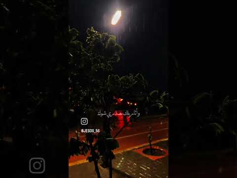 سلطان المرشد يهب البرد