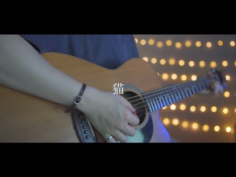 猫/DISH (Acoustic covered byあれくん)