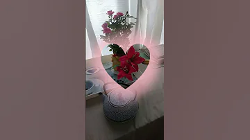 ياخوفي بعده لا يطول وقلبه عني يتحول الاستاذ فريد الأطرش طيب الله ثراه الاغاني الخالدة 