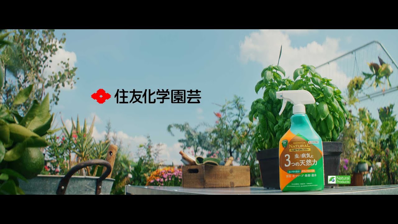 これからは効きめ確かなナチュラル系 ナチュラルべニカシリーズ