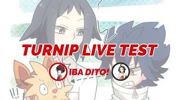 TURNIP LIVE TEST