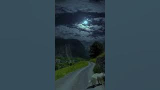 desa malam tenang #langit #indah #bulan #desa #laut #pantai #pemandangan #bunga #shorts #mawar