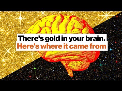 天文学が神経科学をさらにクールにする方法：脳、金、中性子星|ミシェル・サラー