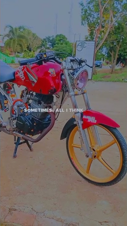Story WA - tiger skyzo