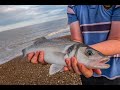 Fishing A Secret, Desolate Suffolk Beach | Rays, Bass, Dogfish & Whiting! |