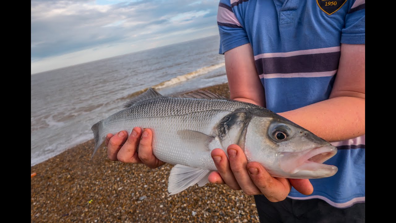 Fishing A Secret, Desolate Suffolk Beach | Rays, Bass, Dogfish & Whiting! |