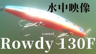 【水中動画】Rowdy#ルアーマン#リバーシーバス#APIA