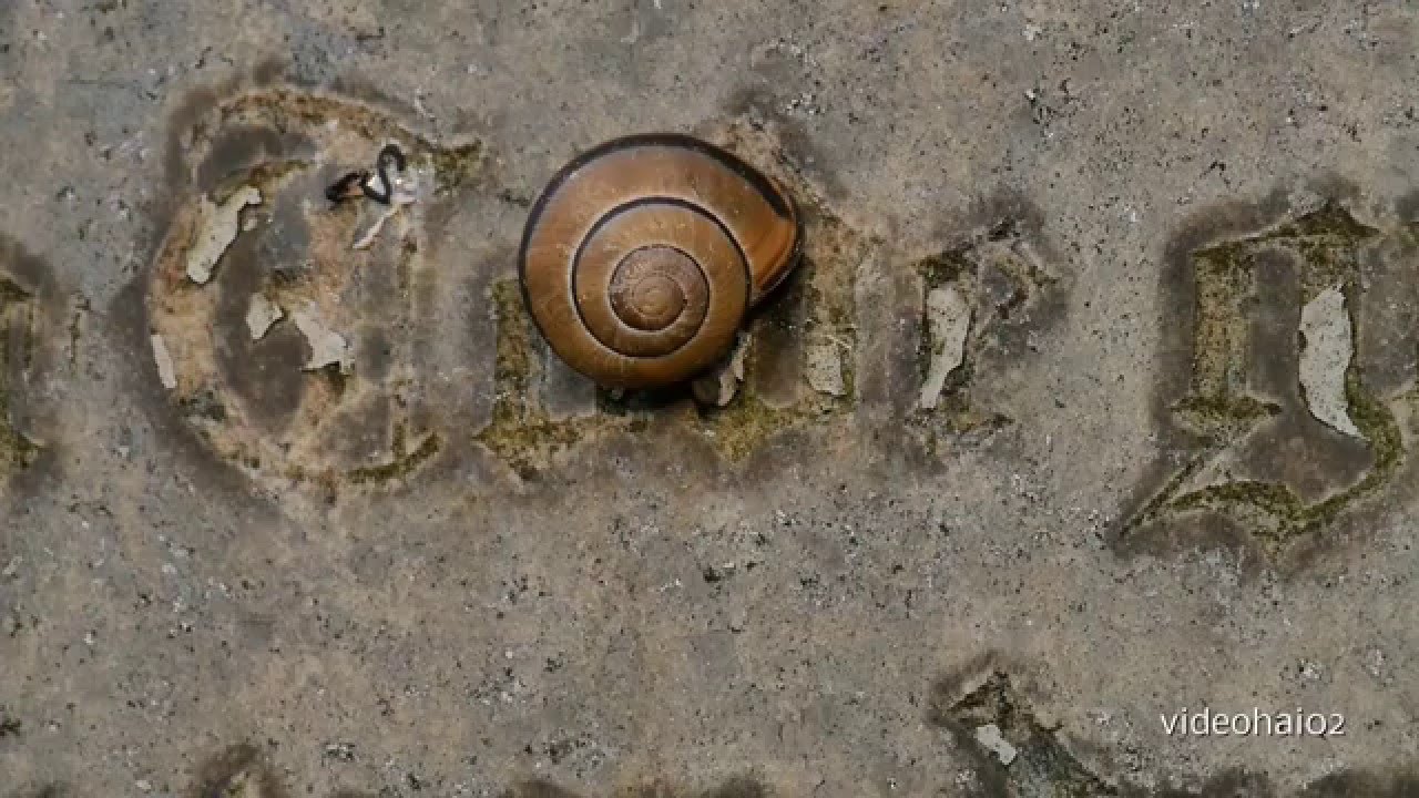 Großziethen bei Berlin