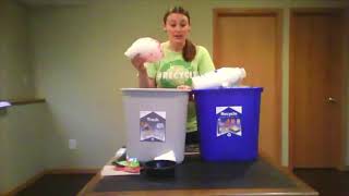Sort it Out--School Recycling