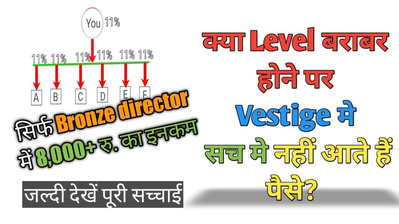 Vestige Plan Calculation in Hindi , Bronze Director Bonus Special Plan