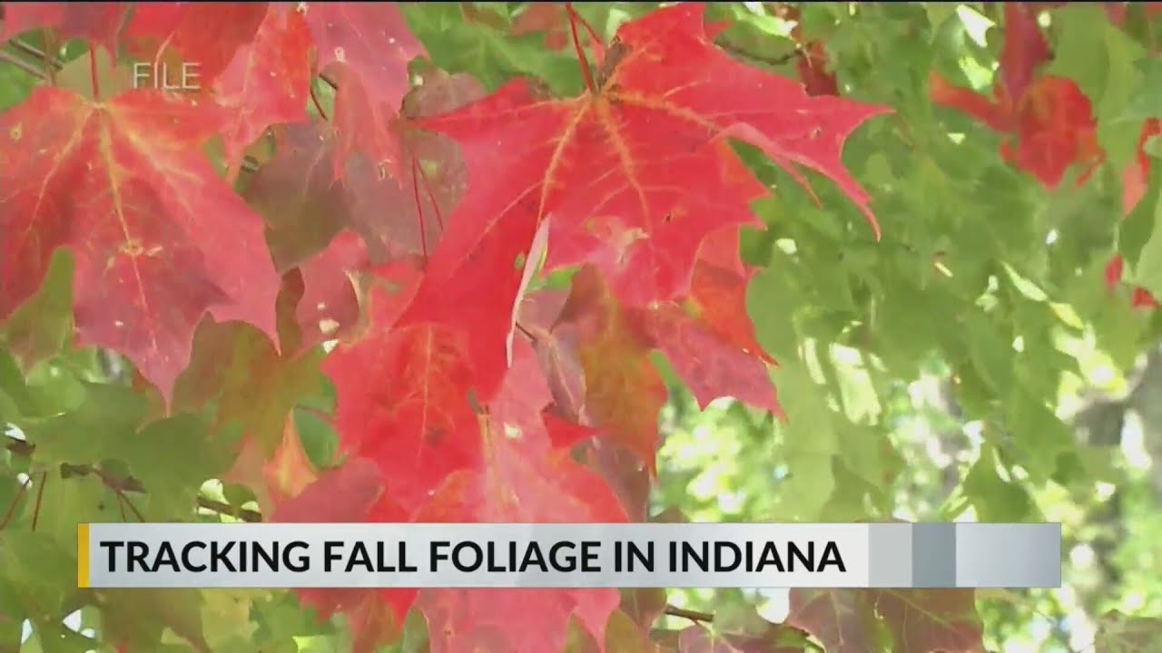 Tracking the colors of fall foliage in Indiana