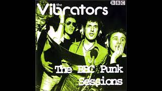 Video thumbnail of "The Vibrators - Jenny Jenny (John Peel 28.10.76)"