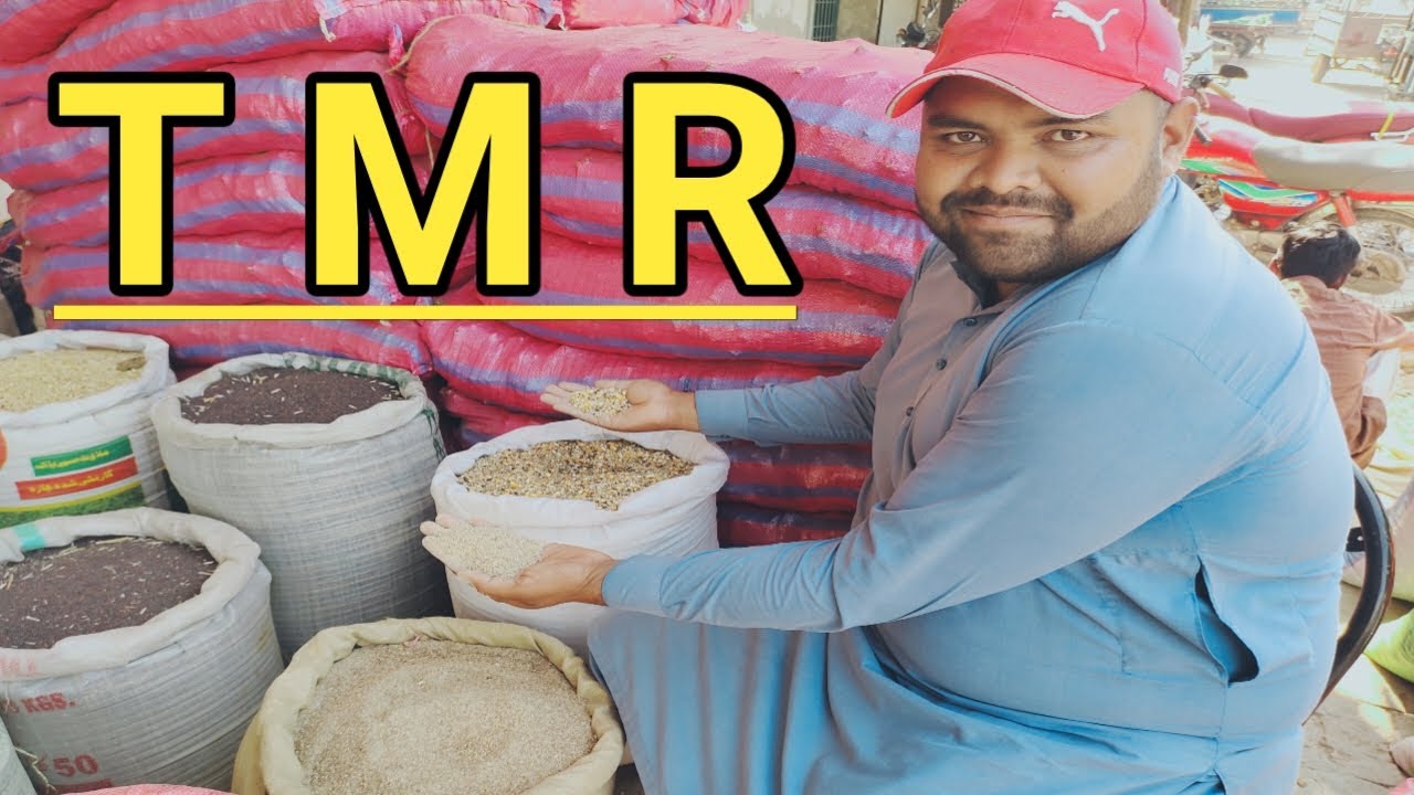 what is tmr feed tmr feed in Pakistan ٹی ایم آر کیا ہے Animal