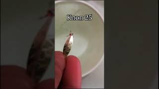 Зимняя блесна Клоп 25