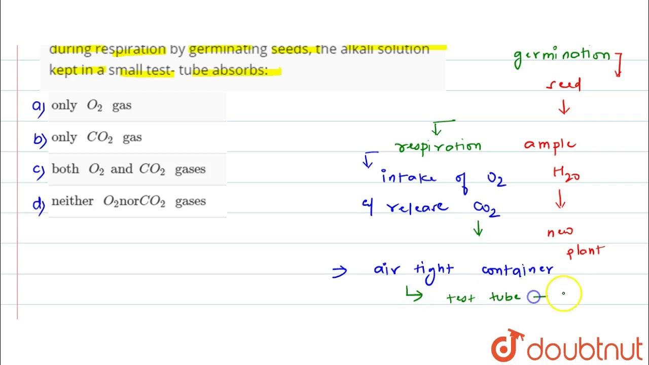 In the experiment to show that carbon dioxide is produced during