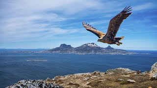 Visiting Bodø - The World's Strongest Tidal Current, a Double Beach and Our Worst Travel Mistake!