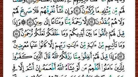 ختمة مصحف التجويد برواية قالون الصفحة رقم 443