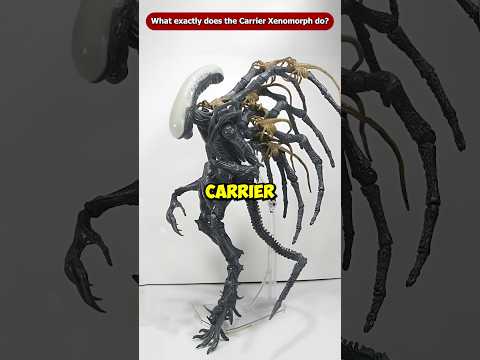 What Exactly Does The Carrier Xenomorph Do? #Shorts #Viral #Facehugger