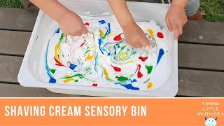 Shaving Cream Sensory Bin for Toddlers and Preschoolers