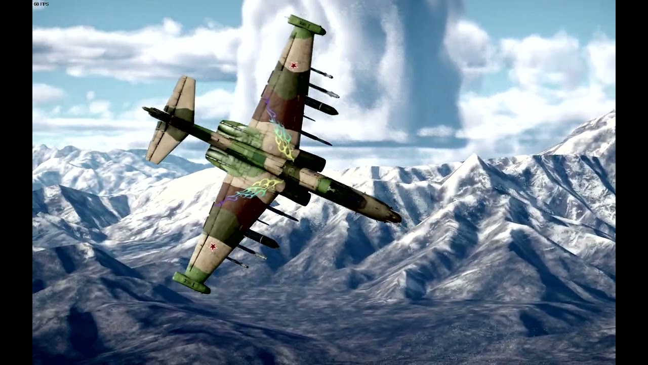 WarThunder bird fight (rook)